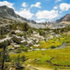 Meet your Posher, Regina